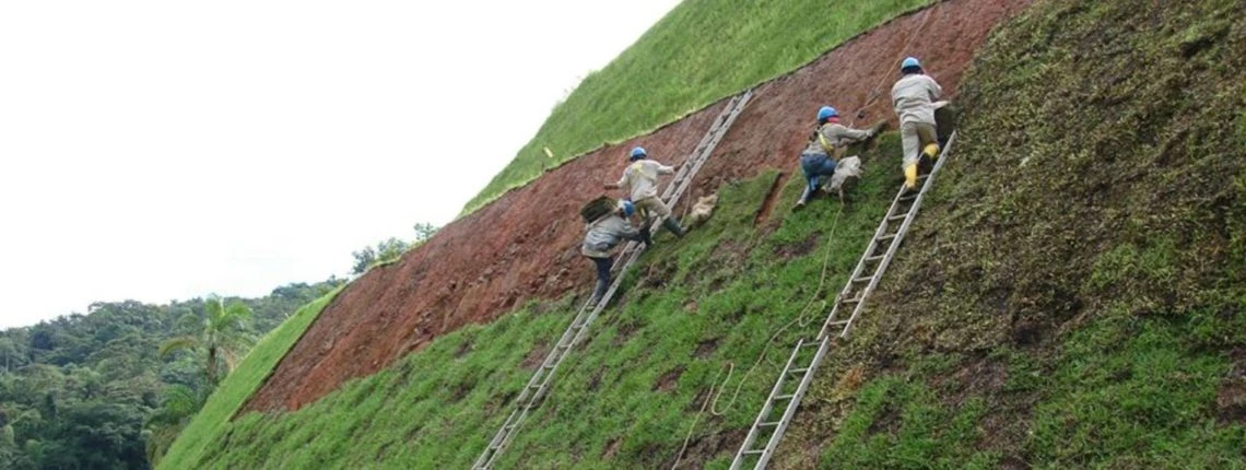 Revegetalizacion de taludes